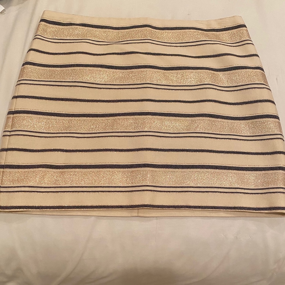 J Crew skirt